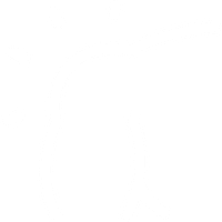 Shoulder icon